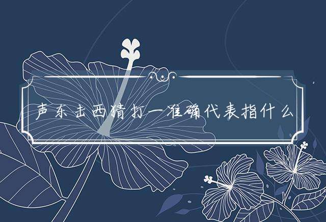 声东击西的生肖