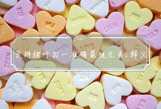 莫辨楮叶的生肖