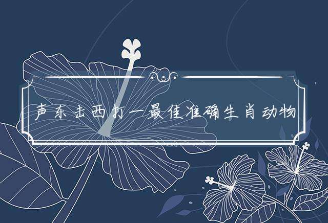 声东击西的生肖