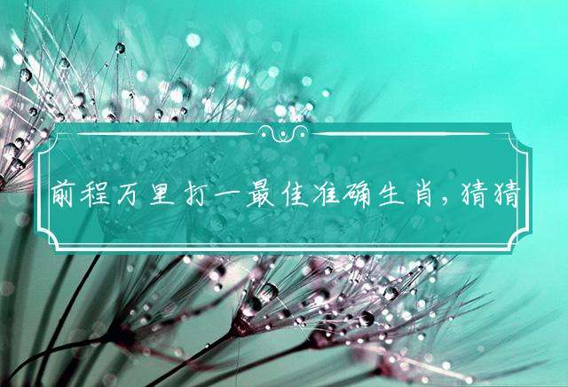 前程万里的生肖