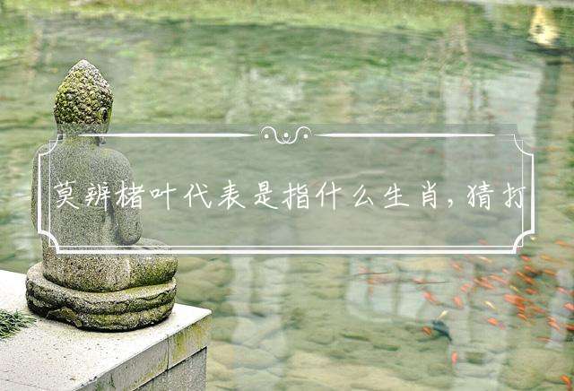 莫辨楮叶的生肖